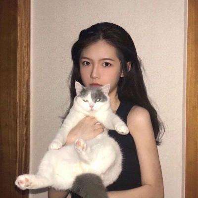 4399盛世明朝下载
